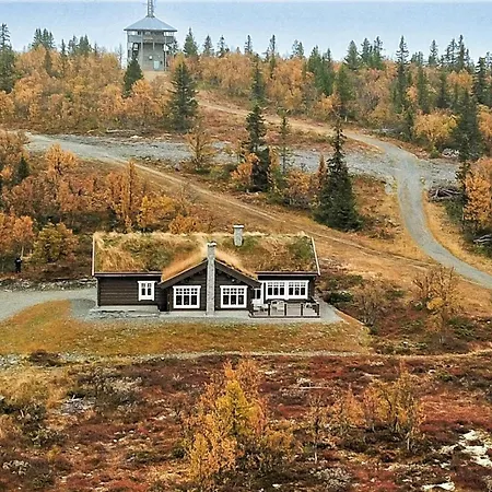 Amazing In With Sauna * Гала